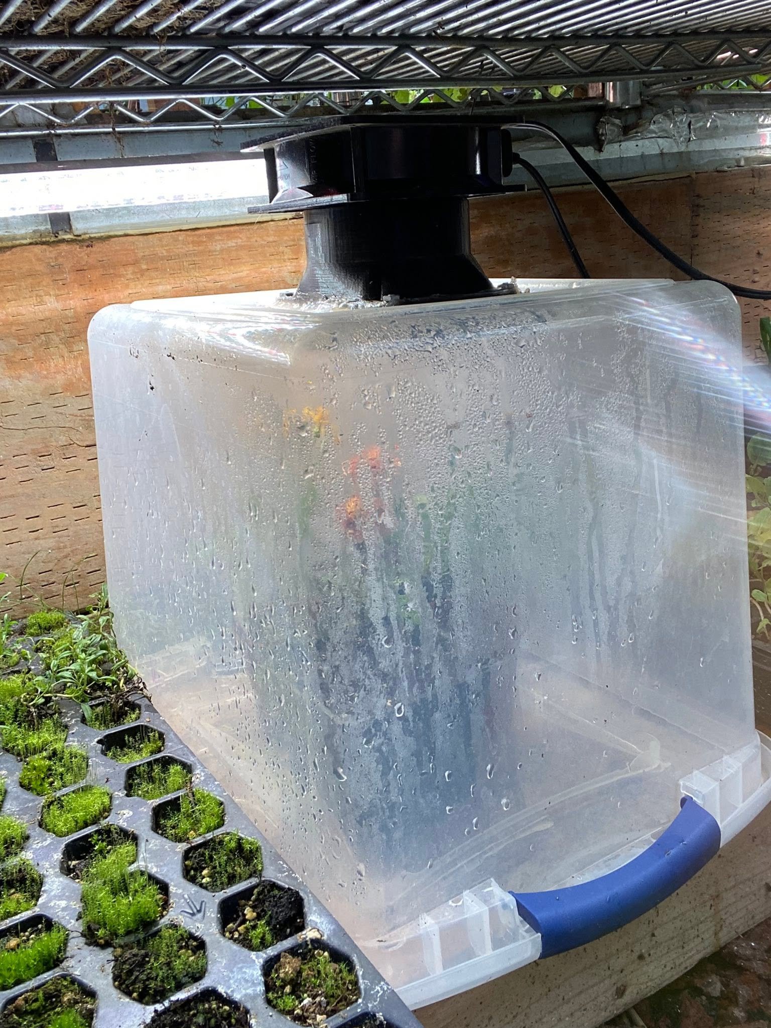 Controlled genetic pollination work at Secret Garden
